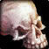 The Skull of Guldan